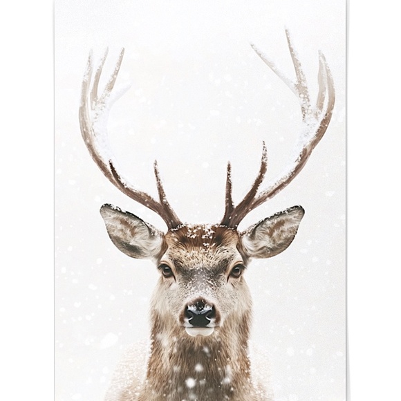 Deer Wall Art Print Poster Unframed - Watercolor Animal Print - Picture 2 of 8